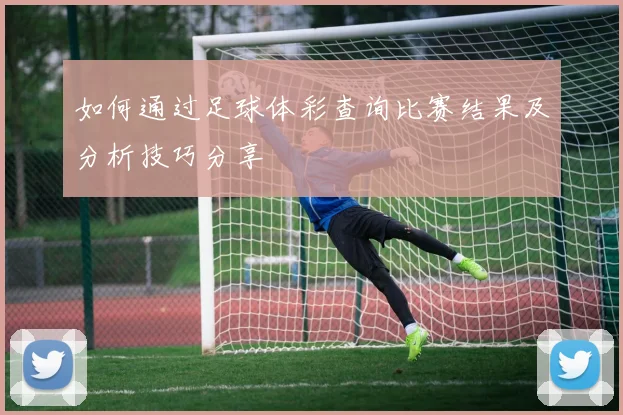 如何通过足球体彩查询比赛结果及分析技巧分享