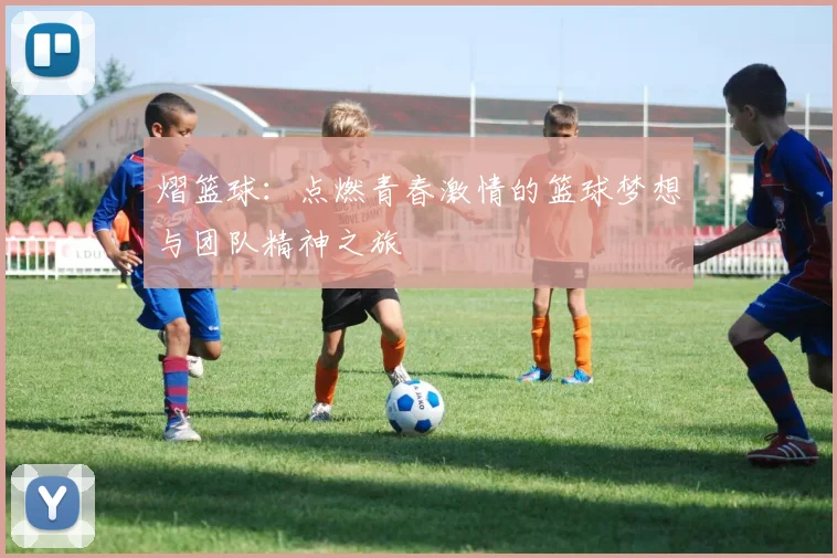 熠篮球：点燃青春激情的篮球梦想与团队精神之旅