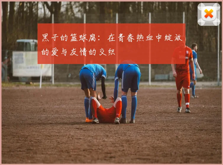 黑子的篮球腐：在青春热血中绽放的爱与友情的交织