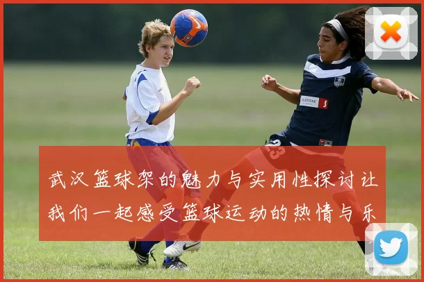 武汉篮球架的魅力与实用性探讨让我们一起感受篮球运动的热情与乐趣