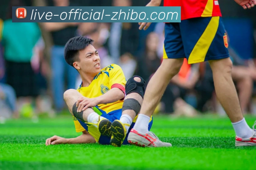 智博体育平台生态图